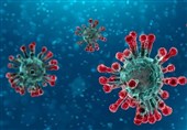 ویژگی‌های سویه اومیکرون چیست؟/ 2 عامل مؤثر در ایجاد جهش‌های جدید ویروس کرونا