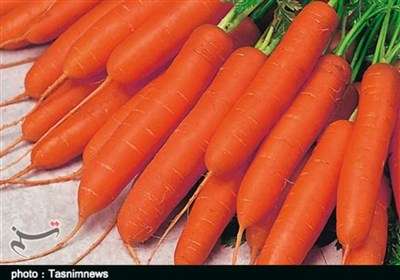 هسته‌ای در کشاورزی ــ 62| اثر فناوری هسته‌ای در بهبود کیفیت «هویج»