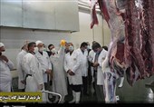 بازدید نماینده ولیفقیه در کردستان از طرحهای حوزه کشاورزی به روایت تصویر
