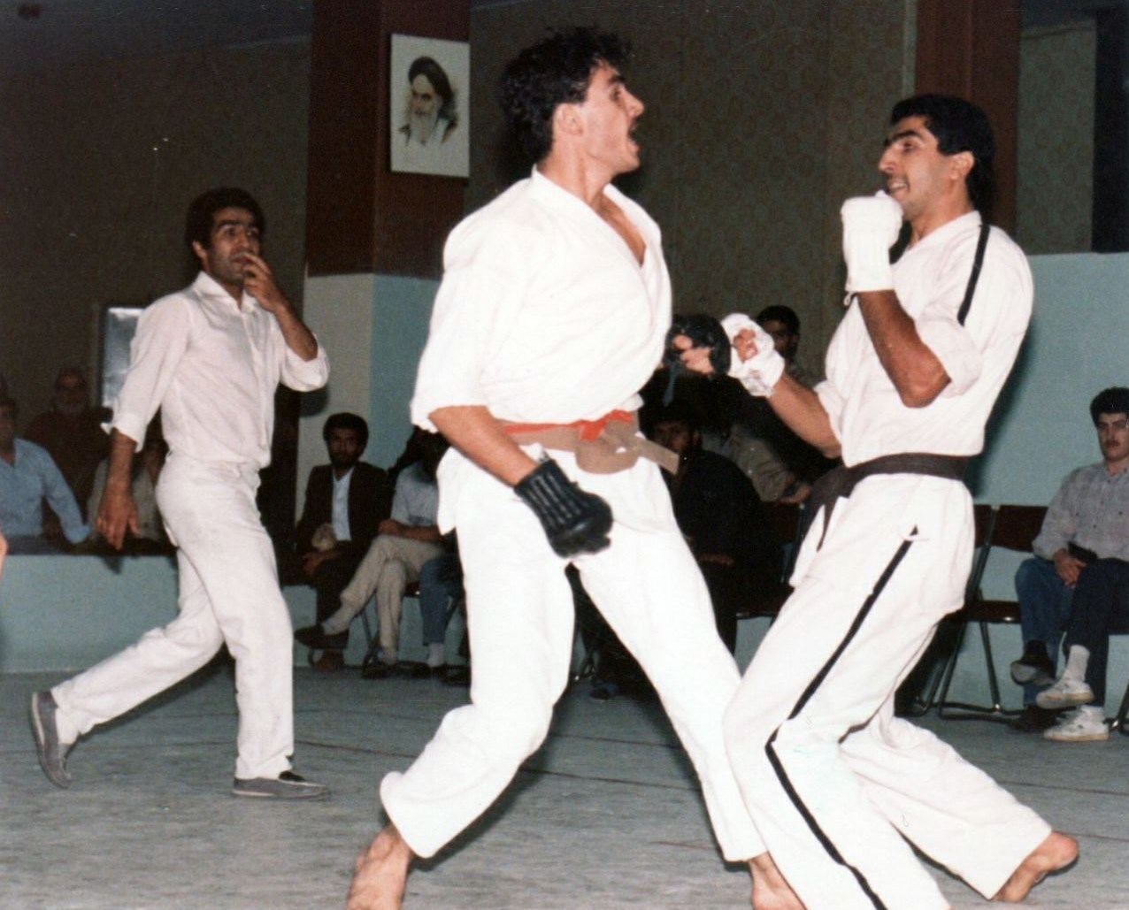کاراته , کاراته ایران , 