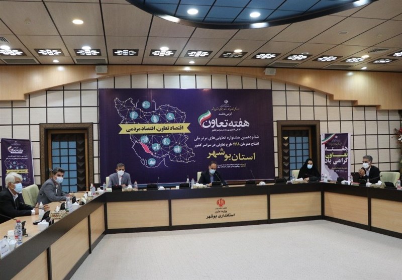 طرح‌های تعاونی استان بوشهر با حضور ویدئوکنفرانسی وزیر کار و تعاون به بهره‌برداری رسید + تصویر