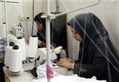850 شغل پایدار خانگی توسط بسیج سازندگی استان البرز ایجاد شد