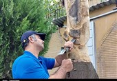 خلاقیت هنرمند خوشذوق سنندجی+تصویر