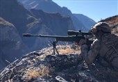 TSK Operasyonunda İki PKK'lı Öldürüldü
