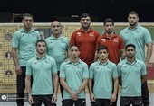 کشتی آزاد جام مدوید| پایان کار تیم منتخب ایران با 4 مدال نقره و برنز