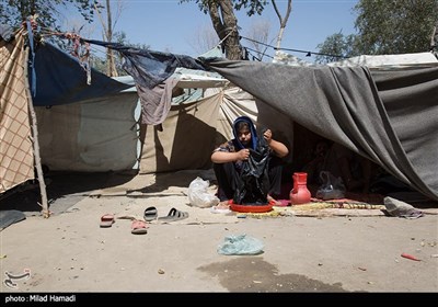 کمپ پناهندگان پارک آزادی شمال شرق در افغانستان