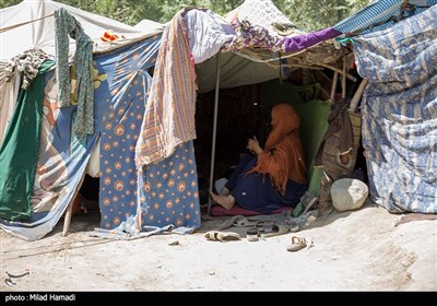 کمپ پناهندگان پارک آزادی شمال شرق در افغانستان