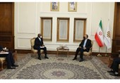Africa High on Iran’s Foreign Policy Agenda: FM