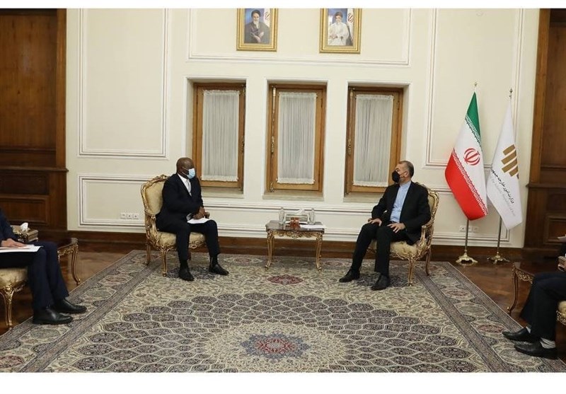 Africa High on Iran’s Foreign Policy Agenda: FM