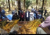 روایت تصویری از بررسی مشکلات برخی روستاهای محروم دشتستان توسط نماینده ولیفقیه در استان بوشهر