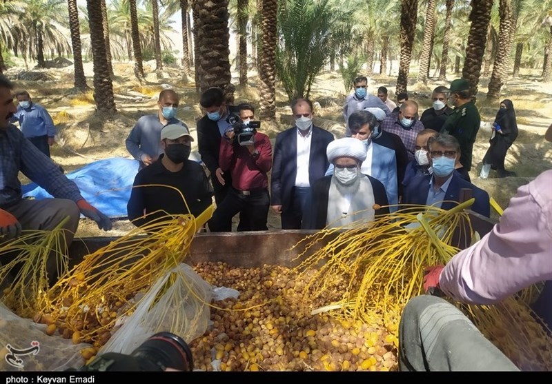 روایت تصویری از بررسی مشکلات برخی روستاهای محروم دشتستان توسط نماینده ولی‌فقیه در استان بوشهر