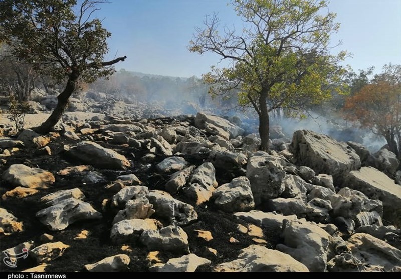 یکه تازی شعله‌های آتش در جنگل‌های کوه نیر بویراحمد + تصاویر