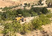 267 مورد ساخت و ساز غیرمجاز در اراضی کشاورزی کرج تخریب شد