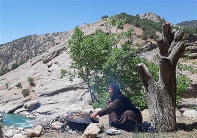 لالایی سوزناک برای نابودی جنگل‌های غرب ایران که تنهایی نمی‌شد از آن عبور کرد! + فیلم