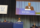 US Must Abandon Addiction to Sanctions: Iran Nuclear Chief