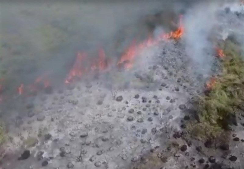 سهم 95 درصدی عوامل انسانی در آتش‌سوزی‌های منابع طبیعی استان کرمان
