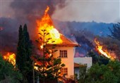 Aerial Footage Shows Lava Devouring Residential Neighborhoods in Spain’s Canary Islands