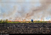 سوزاندن زمین های زراعی منطقه درودزن و کامفیروز به جهت کشت سریع تر نشاء برنج وبه وجود آمدن آلودگی زیست محیطی 