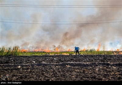 سوزاندن زمین های زراعی منطقه درودزن و کامفیروز به جهت کشت سریع تر نشاء برنج وبه وجود آمدن آلودگی زیست محیطی 