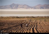 دریاچه بختگان و خشکسالی ناشی از آن به علت خشکسالی و کشت بی رویه در کشاورزی 