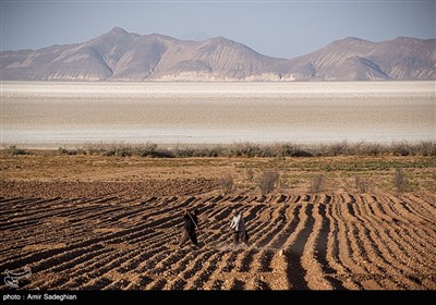 دریاچه بختگان و خشکسالی ناشی از آن به علت خشکسالی و کشت بی رویه در کشاورزی 