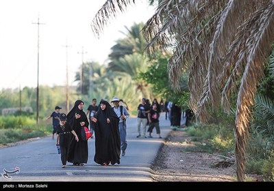 پیاده روی اربعین حسینی - طریق العلماء