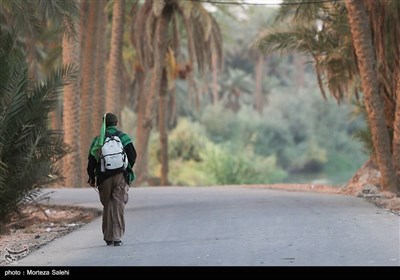 پیاده روی اربعین حسینی - طریق العلماء