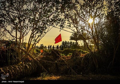 Shiite Muslims Start Great Arbaeen March in Iraq