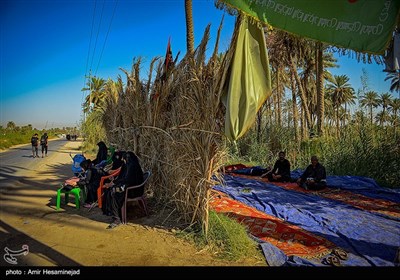 Shiite Muslims Start Great Arbaeen March in Iraq