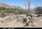 خشکسالی 2480 میلیارد تومان خسارت به بخش کشاورزی استان خراسان جنوبی وارد کرد