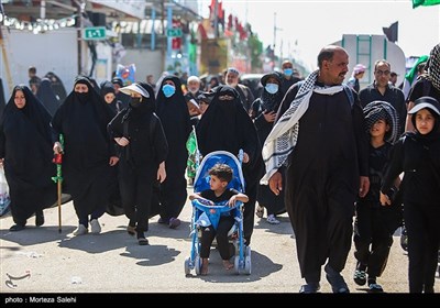 پیاده روی زائرین اربعین حسینی - مسیر نجف به کربلا