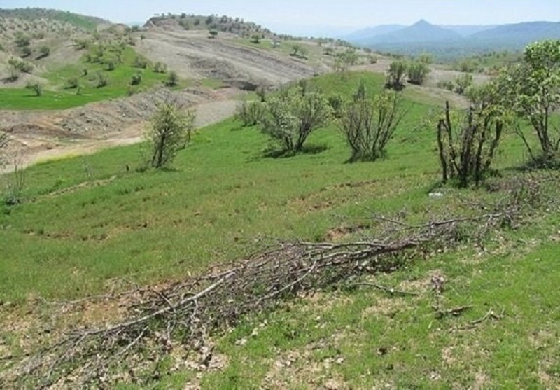282هزار متر مربع از اراضی ملی فیروزکوه آزادسازی شد