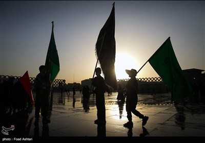 شور حسینی در اربعین سید و سالار شهیدان استان بوشهر را فراگرفت