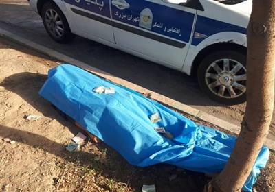 2 کشته و 5 مصدوم حاصل تصادف پرشیا حامل 8 سرنشین + تصاویر