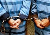 3300 سارق در استان قزوین دستگیر شدند