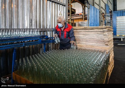 کارگران در این بخش بطری های شیشه ای را برای بسته بندی آماده و مرتب میکنند