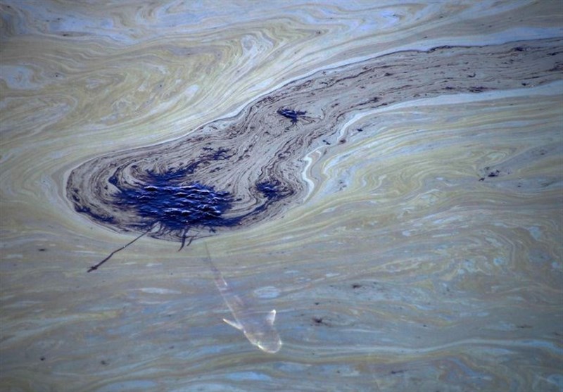 &apos;Catastrophic&apos; California Oil Spill Kills Fish, Damages Wetlands