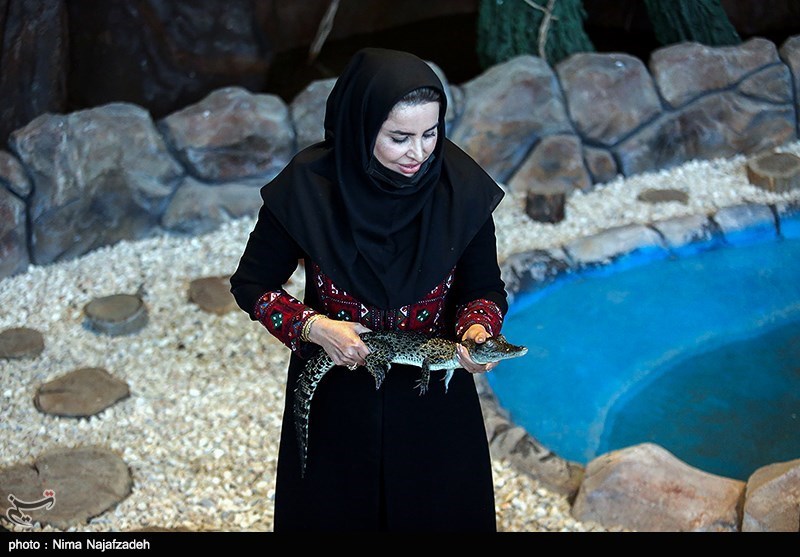 مزرعه پرورش کروکودیل در خراسان رضوی