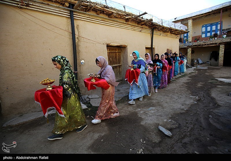 جشنواره برداشت آلو در روستای حیدره قاضی خانی همدان