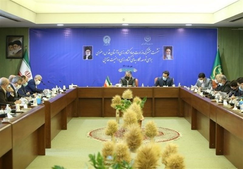 دولت و آستان قدس رضوی برای توسعه همکاری‌ها در عرصه کشاورزی توافق کردند