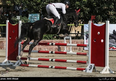 مسابقه پرش با اسب به مناسبت هفته نیروی انتظامی