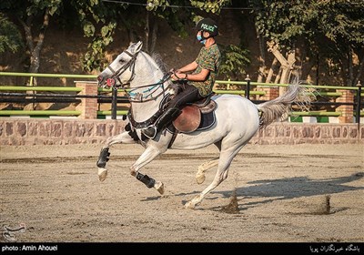 اجرای نمایشی اسب اصیل کرد ایرانی در حاشیه مسابقات 