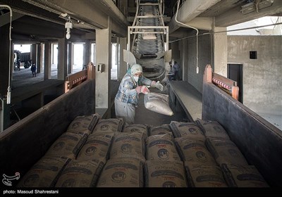  دولت برای تامین سوخت کارخانجات سیمان چاره کند/ هشدار درباره کمبود سیمان در بازار 