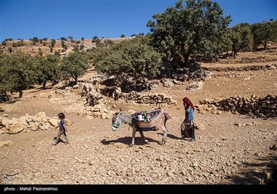 تخریب کامل روستای سر شط از توابع چلو در اندیکا