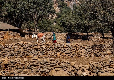 تخریب کامل روستای سر شط از توابع چلو در اندیکا