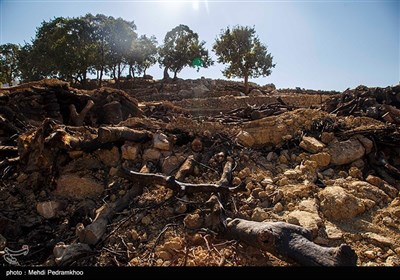 تخریب کامل روستای سر شط از توابع چلو در اندیکا