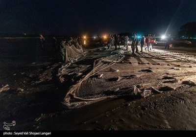 آغاز صید ماهی در مازندران