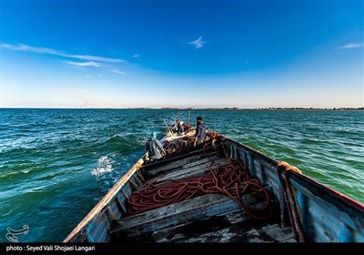 آغاز صید ماهی در مازندران