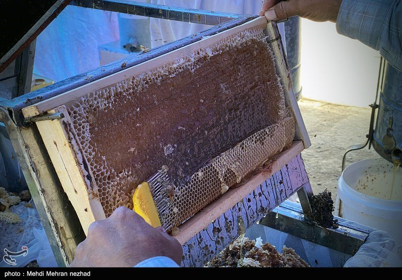 32 تن عسل قاچاق در مرز باشماق مریوان کشف شد