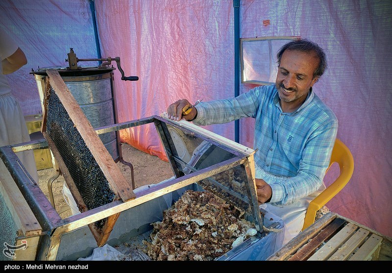 برداشت عسل در جم - بوشهر